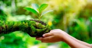 प्रदूषण नियंत्रण एवं पर्यावरण योजना