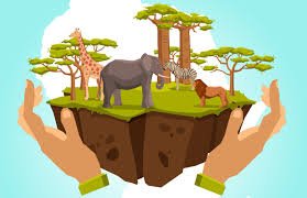 वन संरक्षण एवं वन्य जीवन योजना